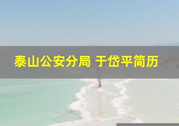 泰山公安分局 于岱平简历